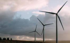 Éoliennes : 30 millions de tonnes de béton pour sauver la biodiversité