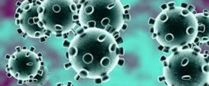 De quoi le Coronavirus est-il le nom ?