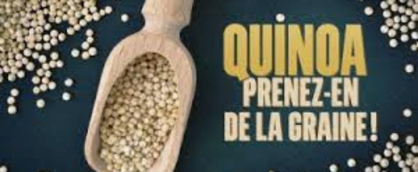Art et Essai : Qui­noa, pre­nez-en de la graine !