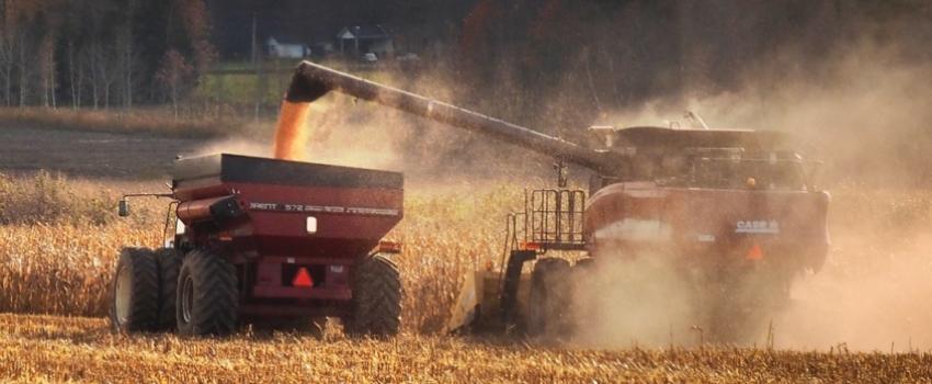 La menace d’une crise alimentaire liée à la guerre en Ukraine… et aux délires mondialistes
