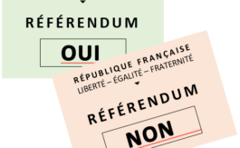 Communiqué de l’Action Française – Droit du sol ? Un référendum tout de suite !