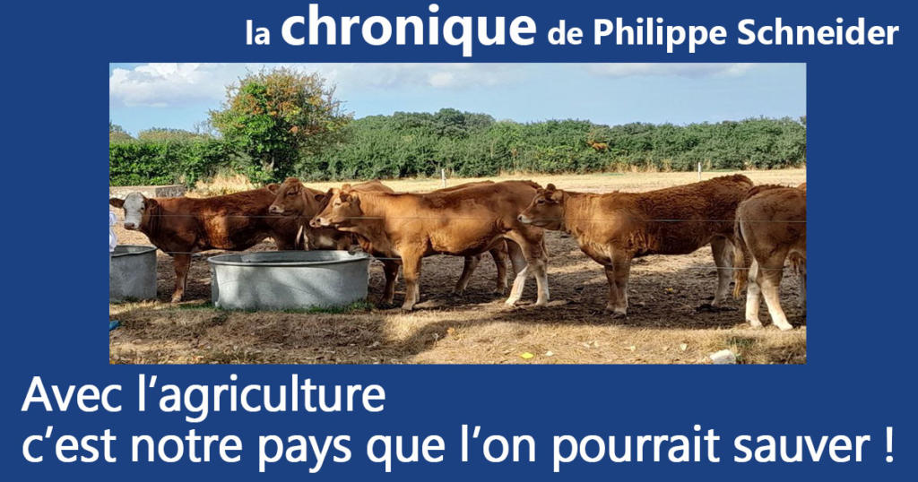 Avec l’agriculture c’est notre pays que l’on pourrait sauver !