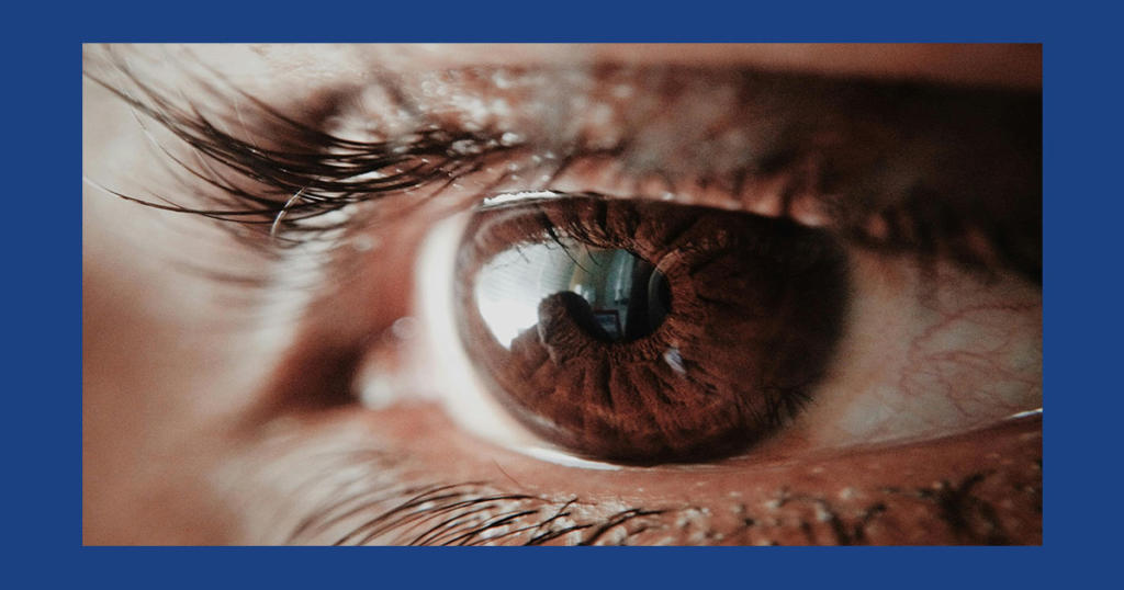 Une bande d’habitudinaires