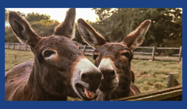 09.01.26-Vertus nationales