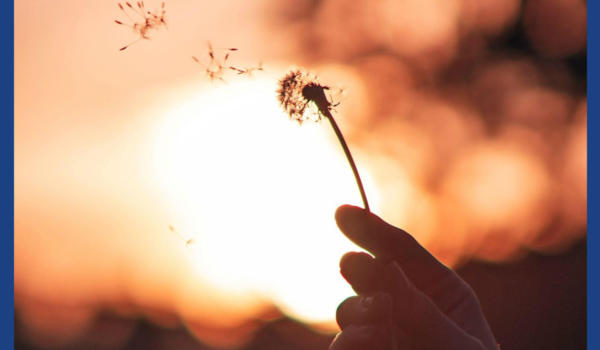 15.09.25-Désir informulé