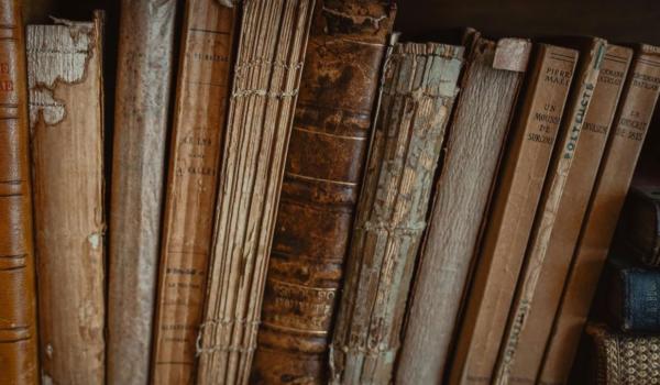 18.07.25-Le vieux royaume et les deux Bêtes