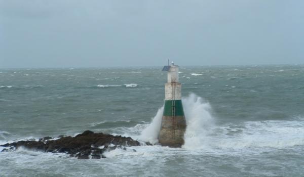 19.12.24-À un maître disparu