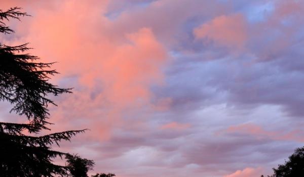 21.02.25-Pour une politique positive