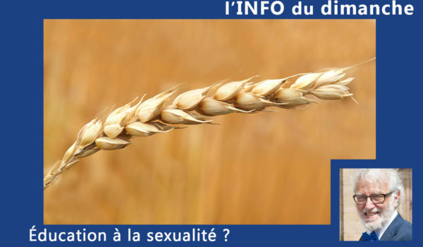 29.12.24-l'INFO du dimanche